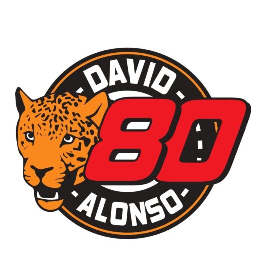 Web Oficial del piloto David Alonso